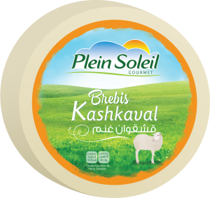Sheep Brebis Kashkaval Cheese