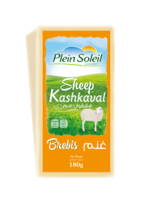 Sheep Kashkaval