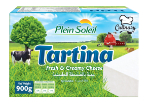 Tartina